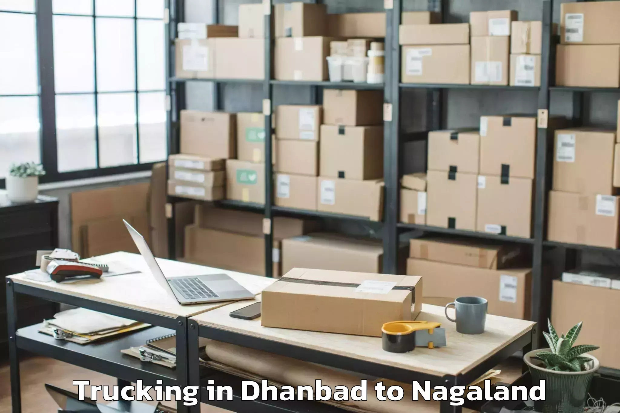 Leading Dhanbad to Medziphema Trucking Provider